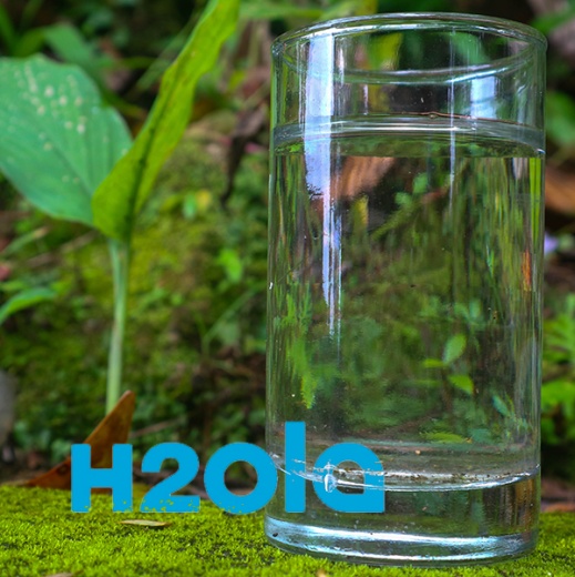 Diferencias entre agua del grifo, embotellada y agua osmotizada